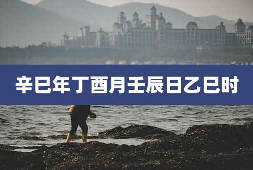 辛巳年丁酉月壬辰日乙巳时