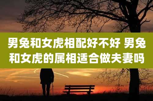 男兔和女虎相配好不好 男兔和女虎的属相适合做夫妻吗