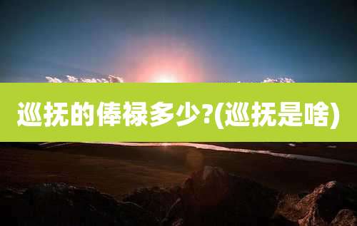 巡抚的俸禄多少?(巡抚是啥)