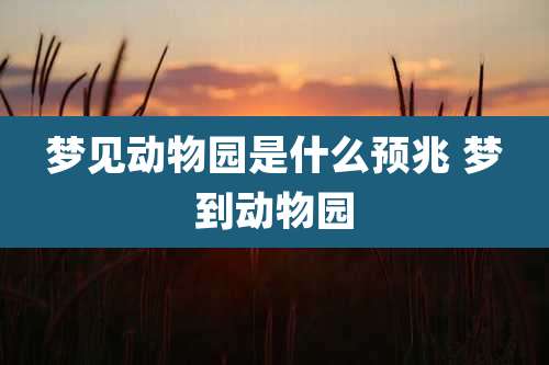 梦见动物园是什么预兆 梦到动物园