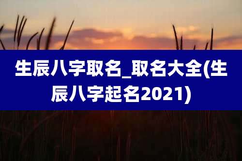 生辰八字取名_取名大全(生辰八字起名2021)