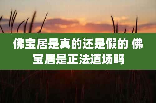 佛宝居是真的还是假的 佛宝居是正法道场吗