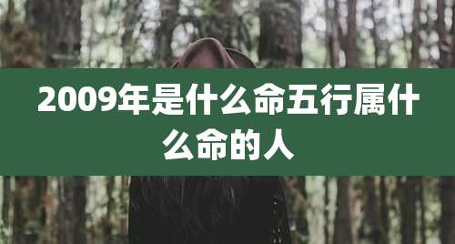 2009年是什么命五行属什么命的人
