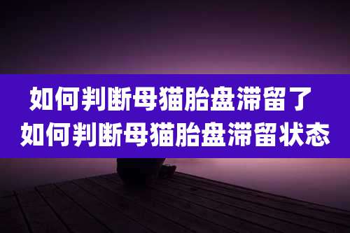 如何判断母猫胎盘滞留了 如何判断母猫胎盘滞留状态