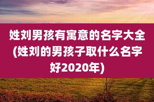 姓刘男孩有寓意的名字大全(姓刘的男孩子取什么名字好2020年)