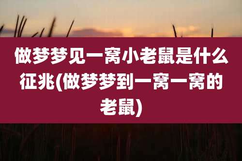做梦梦见一窝小老鼠是什么征兆(做梦梦到一窝一窝的老鼠)