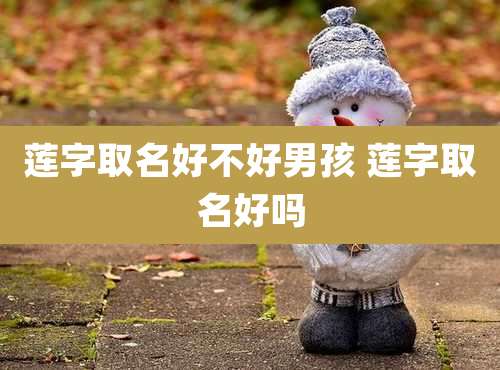 莲字取名好不好男孩 莲字取名好吗