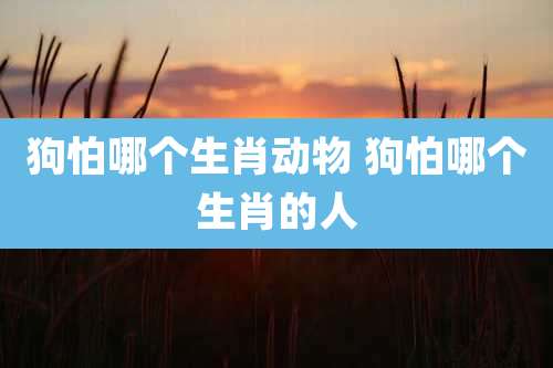 狗怕哪个生肖动物 狗怕哪个生肖的人