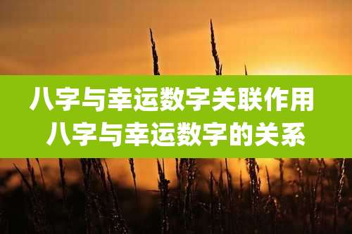 八字与幸运数字关联作用 八字与幸运数字的关系