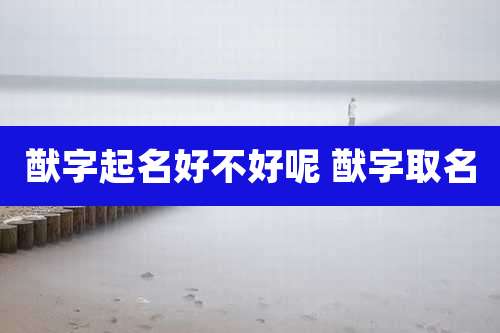 猷字起名好不好呢 猷字取名