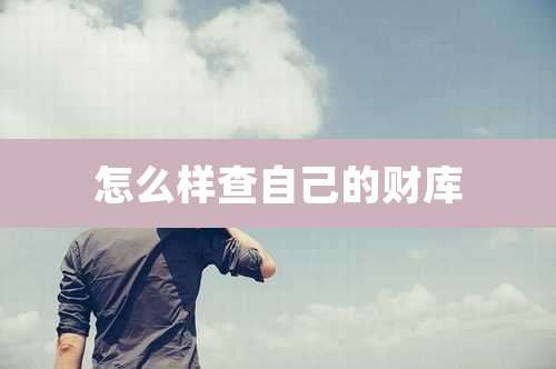 怎么样查自己的财库