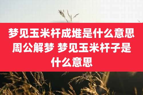 梦见玉米杆成堆是什么意思周公解梦 梦见玉米杆子是什么意思