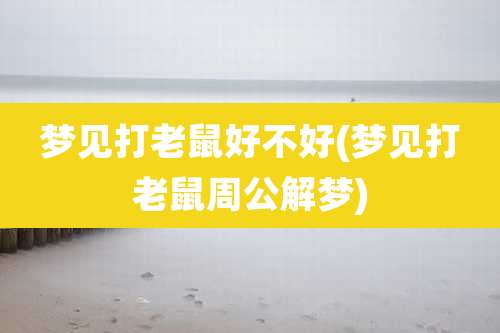 梦见打老鼠好不好(梦见打老鼠周公解梦)