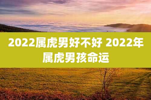 2022属虎男好不好 2022年属虎男孩命运