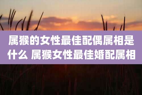 属猴的女性最佳配偶属相是什么 属猴女性最佳婚配属相