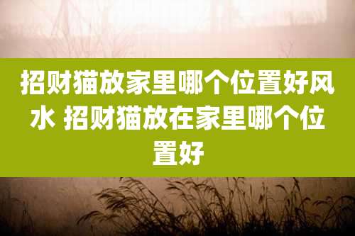 招财猫放家里哪个位置好风水 招财猫放在家里哪个位置好