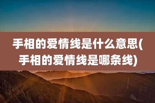 手相的爱情线是什么意思(手相的爱情线是哪条线)
