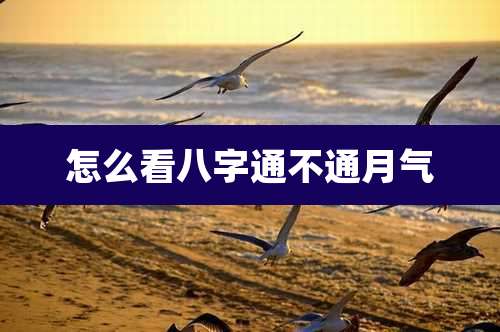 怎么看八字通不通月气