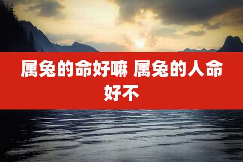 属兔的命好嘛 属兔的人命好不