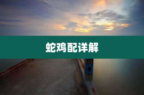 蛇鸡配详解