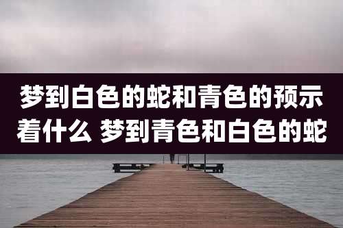 梦到白色的蛇和青色的预示着什么 梦到青色和白色的蛇
