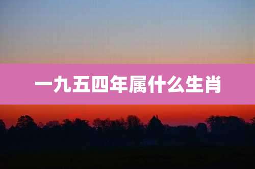 一九五四年属什么生肖