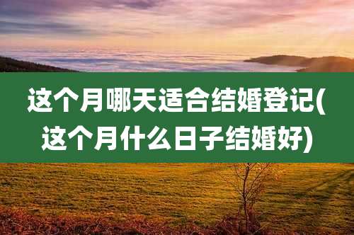 这个月哪天适合结婚登记(这个月什么日子结婚好)