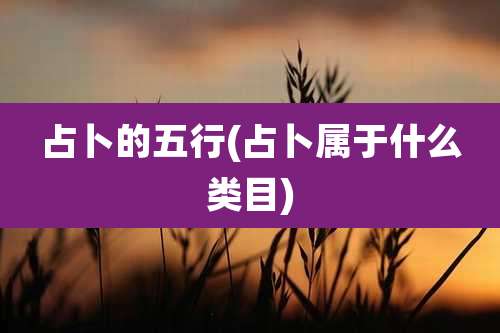 占卜的五行(占卜属于什么类目)