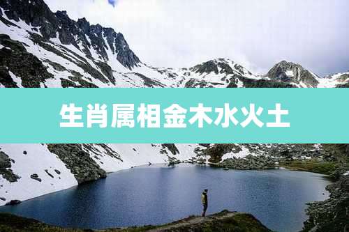 生肖属相金木水火土