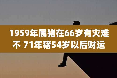 1959年属猪在66岁有灾难不 71年猪54岁以后财运