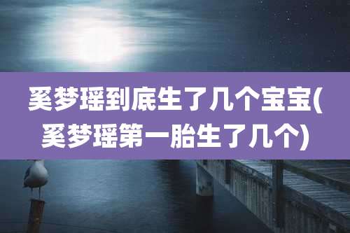 奚梦瑶到底生了几个宝宝(奚梦瑶第一胎生了几个)
