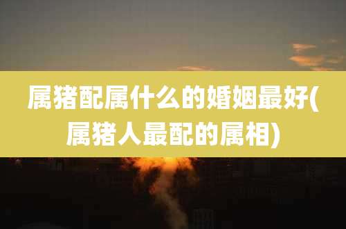 属猪配属什么的婚姻最好(属猪人最配的属相)