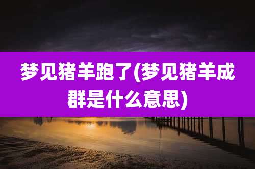 梦见猪羊跑了(梦见猪羊成群是什么意思)