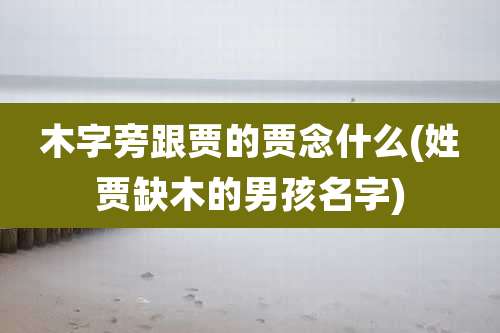 木字旁跟贾的贾念什么(姓贾缺木的男孩名字)