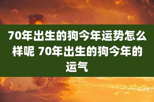 70年出生的狗今年运势怎么样呢 70年出生的狗今年的运气
