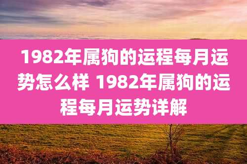 1982年属狗的运程每月运势怎么样 1982年属狗的运程每月运势详解