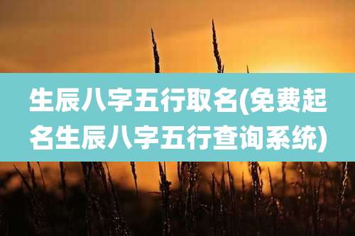 生辰八字五行取名(免费起名生辰八字五行查询系统)