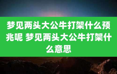梦见两头大公牛打架什么预兆呢 梦见两头大公牛打架什么意思