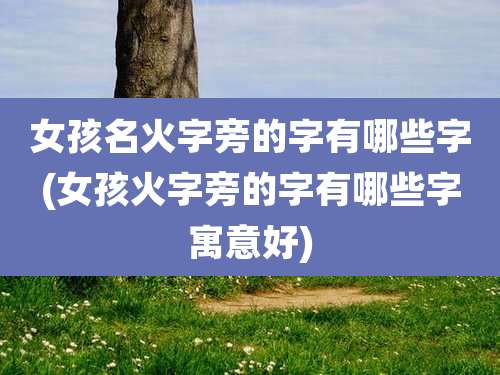 女孩名火字旁的字有哪些字(女孩火字旁的字有哪些字寓意好)