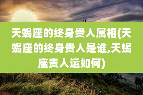 天蝎座的终身贵人属相(天蝎座的终身贵人是谁,天蝎座贵人运如何)