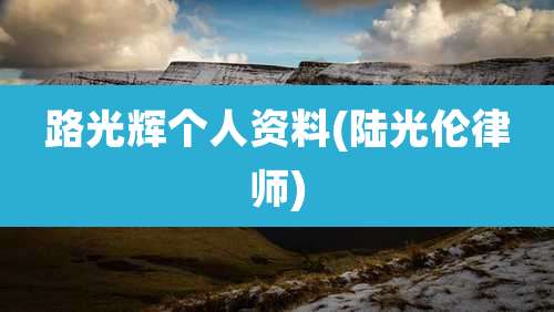 路光辉个人资料(陆光伦律师)