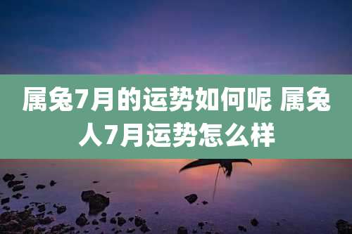 属兔7月的运势如何呢 属兔人7月运势怎么样