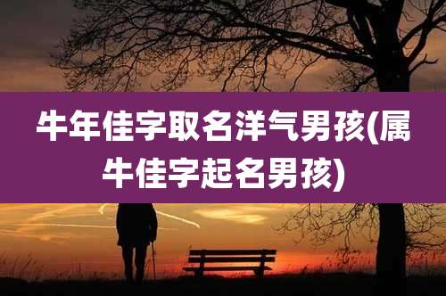 牛年佳字取名洋气男孩(属牛佳字起名男孩)