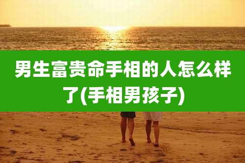 男生富贵命手相的人怎么样了(手相男孩子)