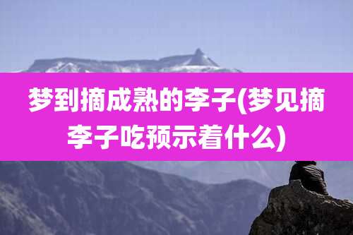 梦到摘成熟的李子(梦见摘李子吃预示着什么)