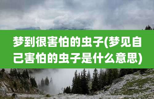 梦到很害怕的虫子(梦见自己害怕的虫子是什么意思)