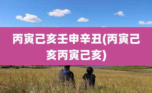 丙寅己亥壬申辛丑(丙寅己亥丙寅己亥)