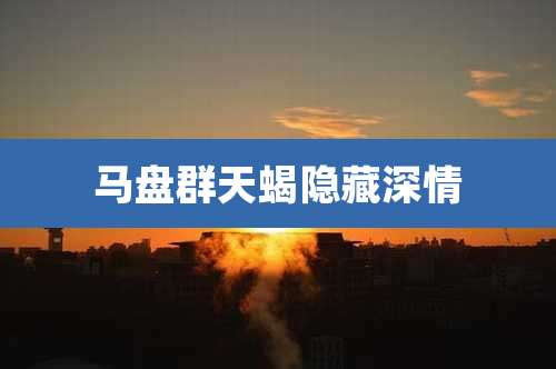 马盘群天蝎隐藏深情