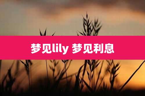 梦见lily 梦见利息