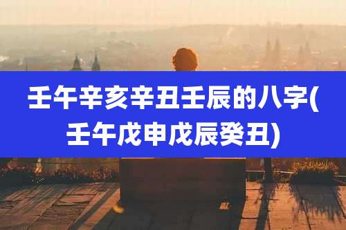 壬午辛亥辛丑壬辰的八字(壬午戊申戊辰癸丑)